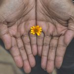 yellow flower on persons hand